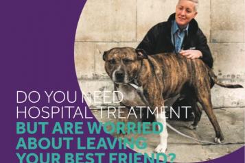 mayhew lambeth hospital pet support 